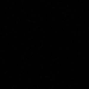 Meet your Posher, Bryce